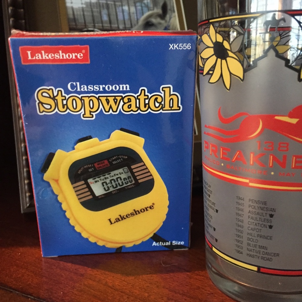 Lakeshore Classroom Stopwatch